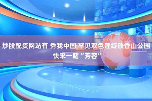 炒股配资网站有 秀我中国|罕见双色莲绽放香山公园 快来一睹“芳容”